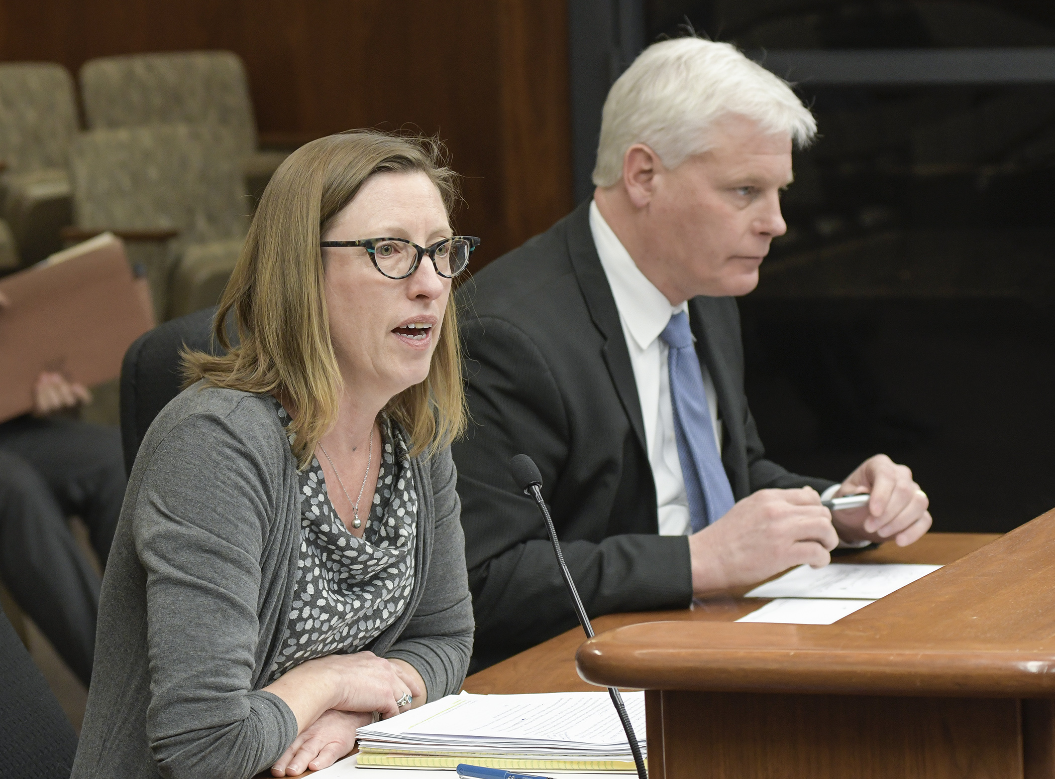 Lisa Stratton, co-founder and senior counsel at Gender Justice, testifies March 13 before the House Job Growth and Energy Affordability Policy and Finance Committee in support of a bill sponsored by Rep. Paul Thissen, right, that would prohibit employers from requiring disclosure of past wages. Photo by Andrew VonBank